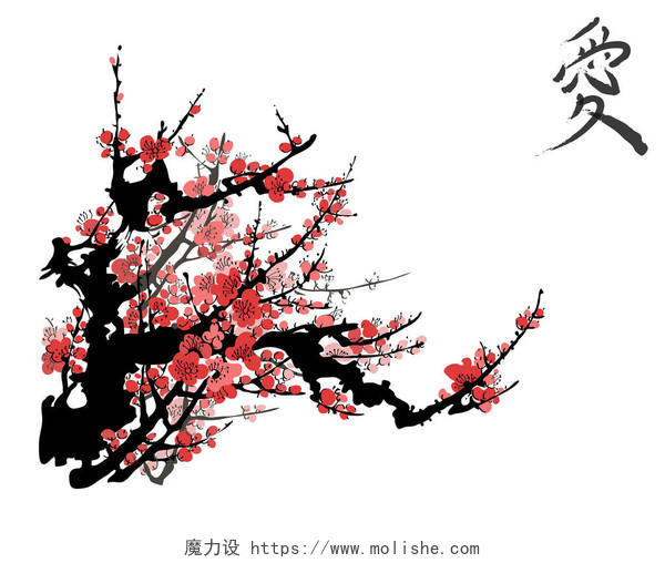 白色背景的日本樱桃树